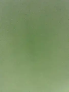 TuCanero23cm webcam
