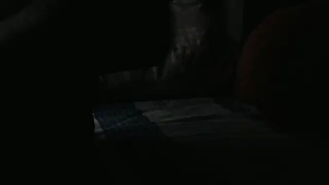 SashaBrianna99 webcam
