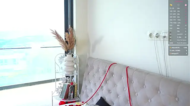 EngelCoyner webcam