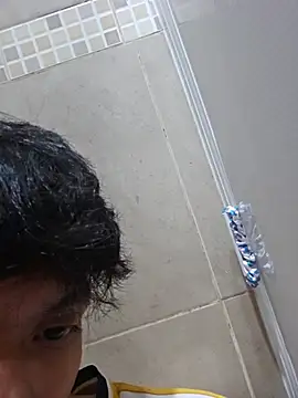Mikachl4 webcam