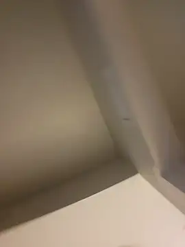 lofibunni webcam