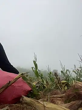 PR
