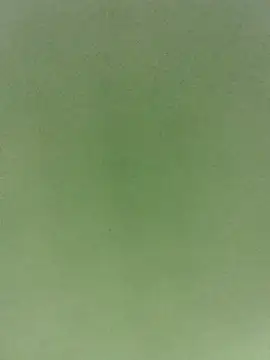 TuCanero23cm webcam