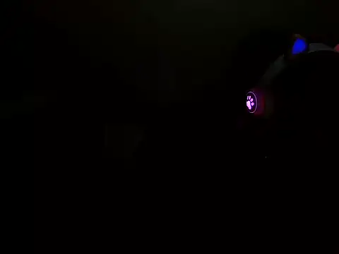 raven_001 webcam