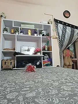 Hansikatelugu webcam