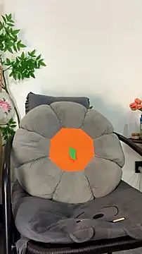 zhizhinaigai webcam