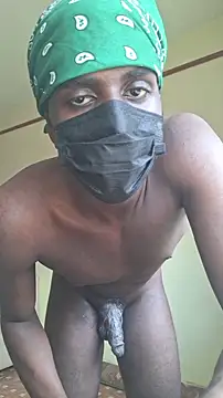 batman065 webcam