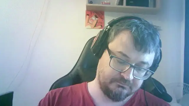 SirAbuser webcam