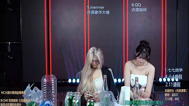 SK010 webcam