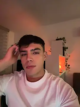 aronnhidden webcam