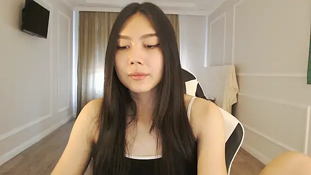 SecretTiny webcam