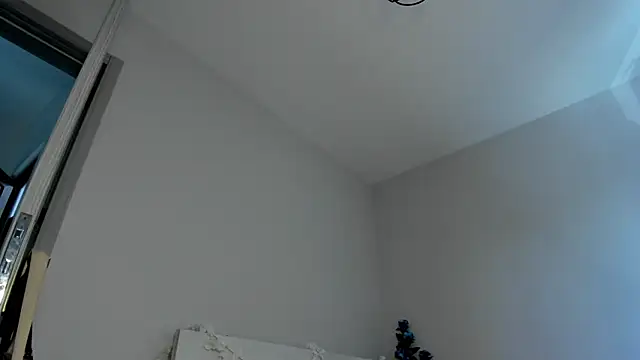 missinfull webcam