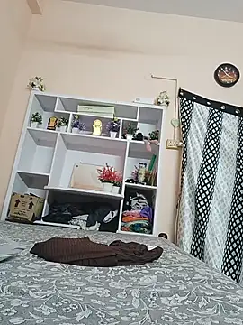 Hansikatelugu webcam
