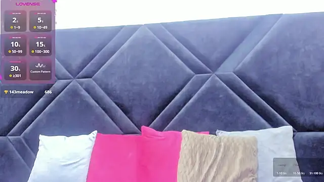 Dantzel_ webcam
