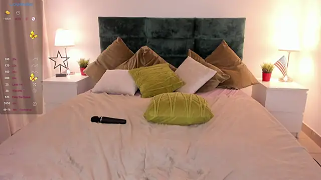 nortellii webcam