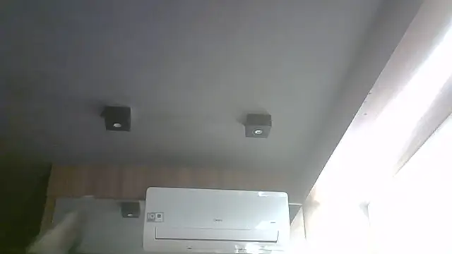SkinnyKitten webcam