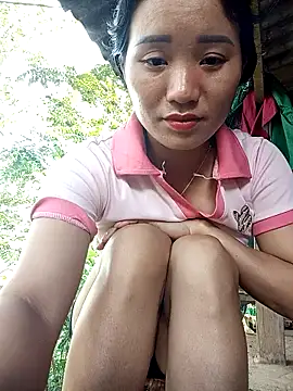 Td3di webcam