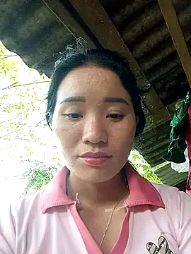 Td3di webcam