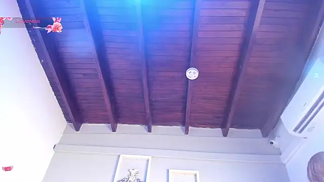 vahiolet_fuentes webcam