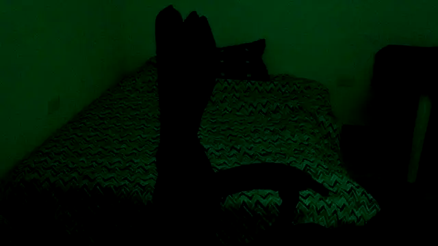 Bandida553 webcam