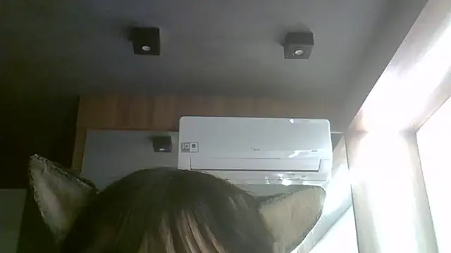 SkinnyKitten webcam