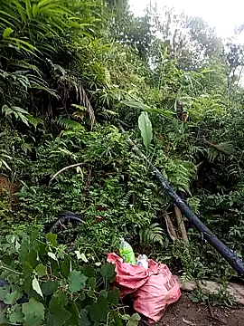 Heryy_xx webcam