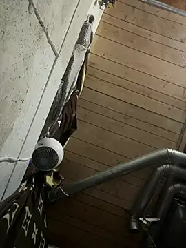 Bulbasaurisme webcam