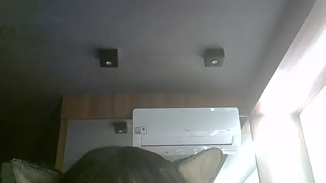 SkinnyKitten webcam