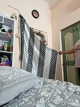 Hansikatelugu webcam
