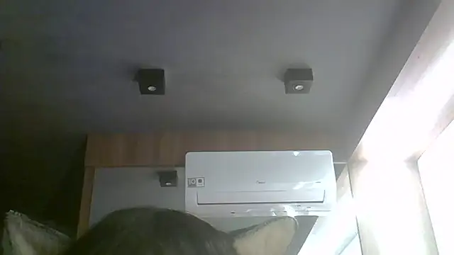 SkinnyKitten webcam