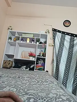 Hansikatelugu webcam