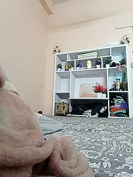 Hansikatelugu webcam