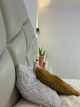 ammy_shell webcam