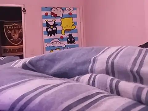 Blkstylion webcam