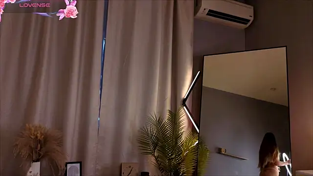 LollaStich webcam
