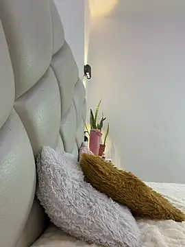 ammy_shell webcam