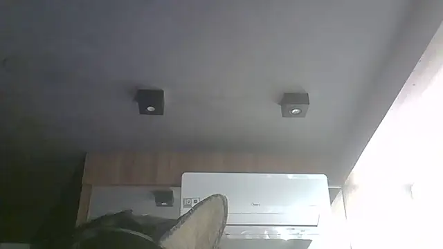 SkinnyKitten webcam