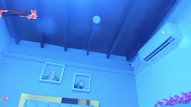 vahiolet_fuentes webcam