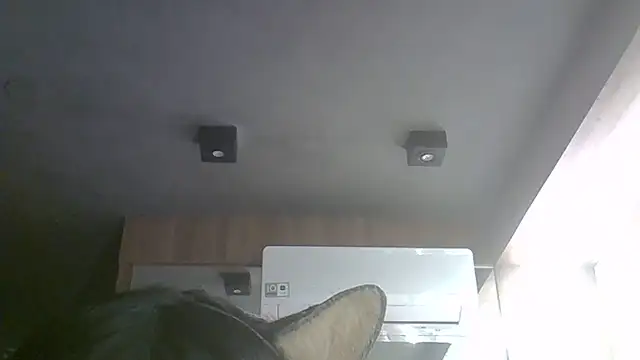 SkinnyKitten webcam