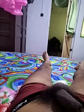 SlNotybo webcam