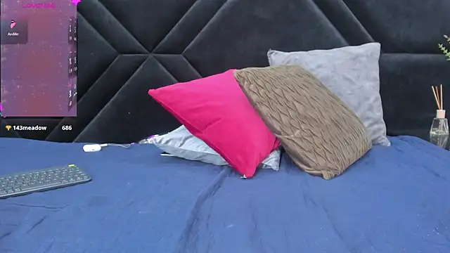 Dantzel_ webcam
