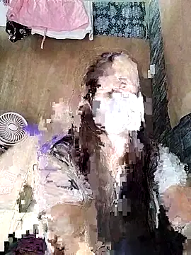 DelightDorothy34 webcam