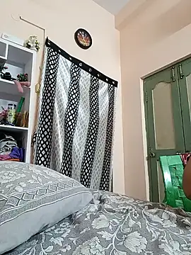 Hansikatelugu webcam
