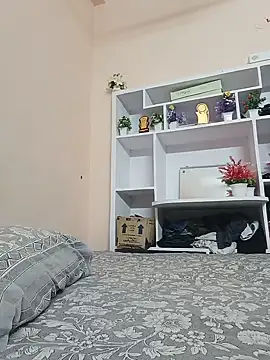 Hansikatelugu webcam