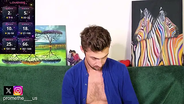 Promethe_us webcam
