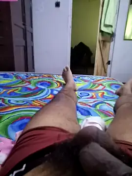 SlNotybo webcam