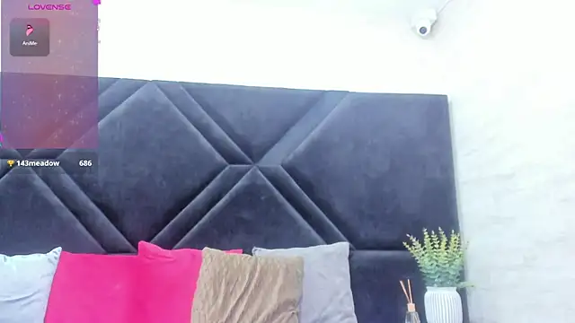 Dantzel_ webcam