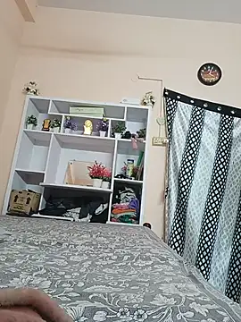 Hansikatelugu webcam