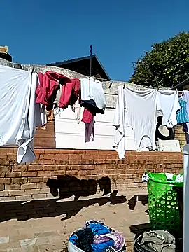 Amarra2024 webcam
