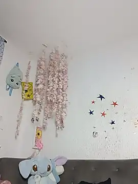 Kuutar webcam